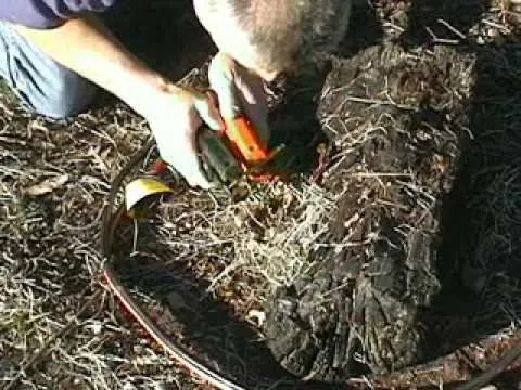 A person examining soil and roots with gardening tools.