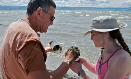 Two people examining shells by the water’s edge on a sunny day.
