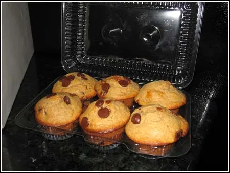 Chocolate chip muffins in a plastic container.