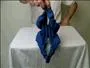 "How to Make a chicken out of a napkin" cover image