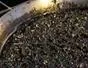 How to Make black rice paella with Food & Wine Magazine cover