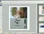 "How to Use the text tool in Photoshop CS3" cover image