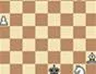 "How to Solve Shultz's unstoppable pawn chess game study" cover image