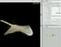 "How to Model a stingray in Houdini 9" cover image