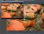 "How to Integrate photographs into modo 302" cover image