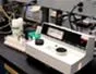 "How to Use the Spectronic 21 visible spectrometer in the lab" cover image