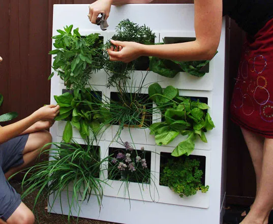 Vertical garden installation with hands placing plants into a white frame.