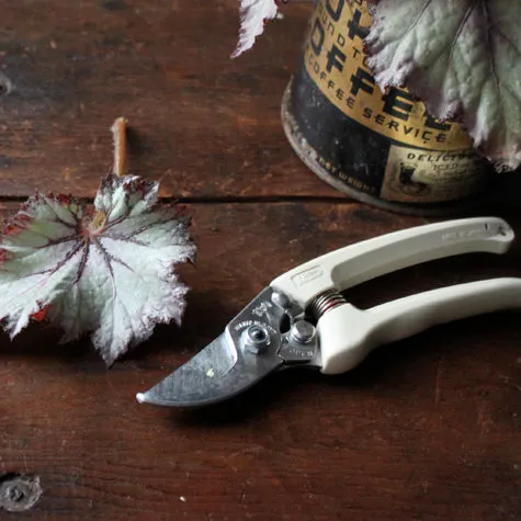 Gardening shears next to a leaf on a wooden surface.