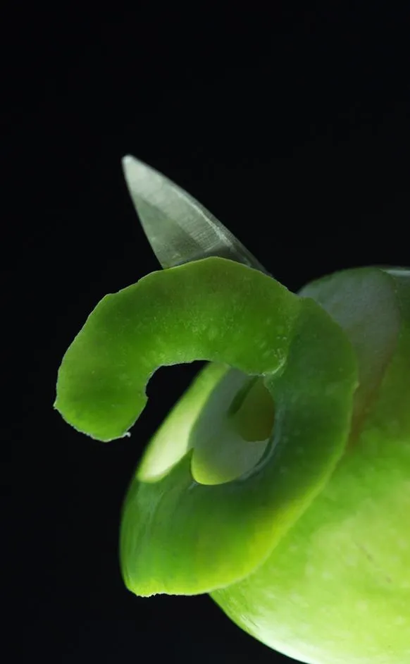 Close-up of a green bell pepper with a curled stem.