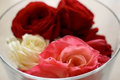 A bowl of colorful roses, including red, pink, and white varieties.