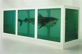 Shark preserved in a glass tank filled with colored liquid.
