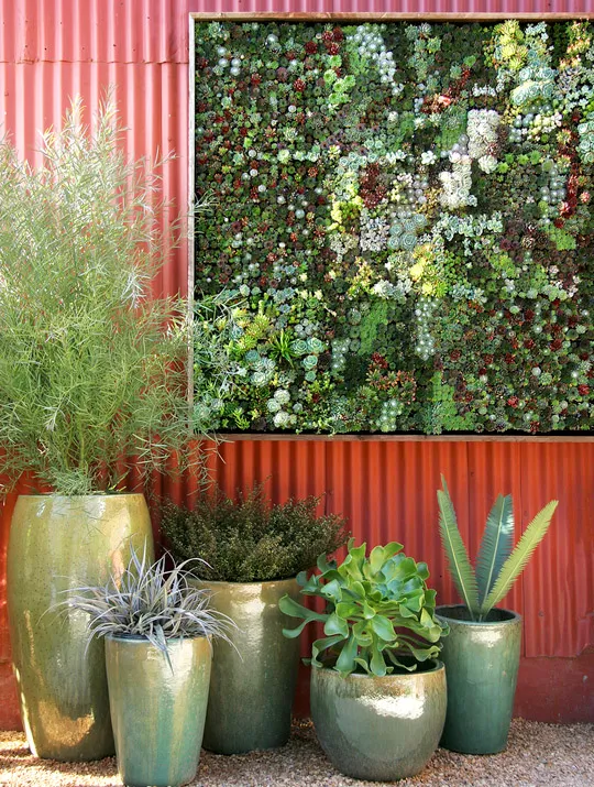 Modern vertical garden installation with various potted plants.