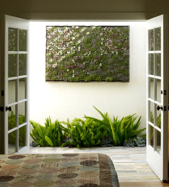 Modern interior with open doors leading to a green natural wall and plants.