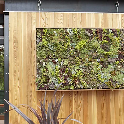 Vertical garden display with wooden frame.