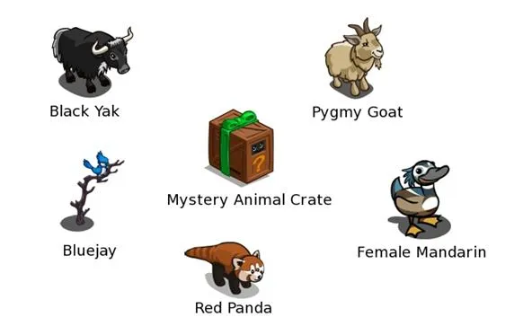 Animals and a mystery crate including a Black Yak, Pygmy Goat, Bluejay, Female Mandarin, and Red Panda.