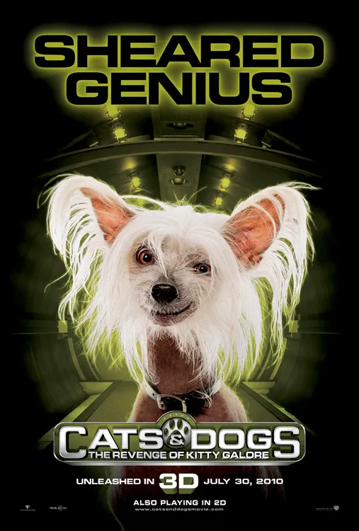 Sheared Genius movie poster featuring a small dog with a quirky hairstyle.