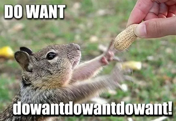Squirrel reaching for a peanut.