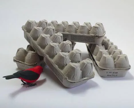A red bird near stacked egg cartons.