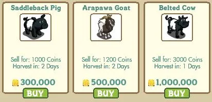 Farm animals for sale: Saddleback Pig, Arapawa Goat, Belted Cow.