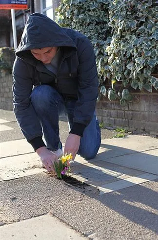 Person kneeling on pavement, tending to flowers.