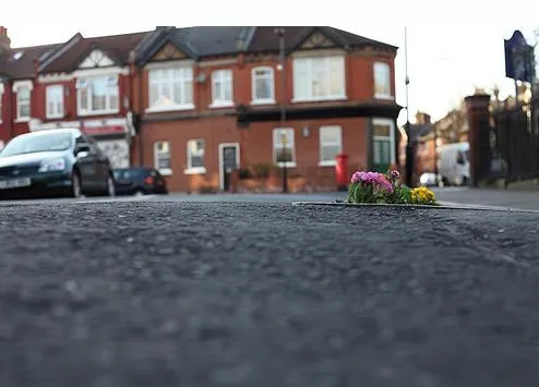 A small bouquet of flowers on a city street with red brick buildings in the background.