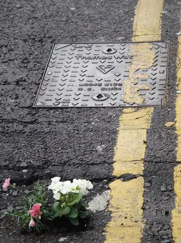 Flower beside a manhole cover on a street.