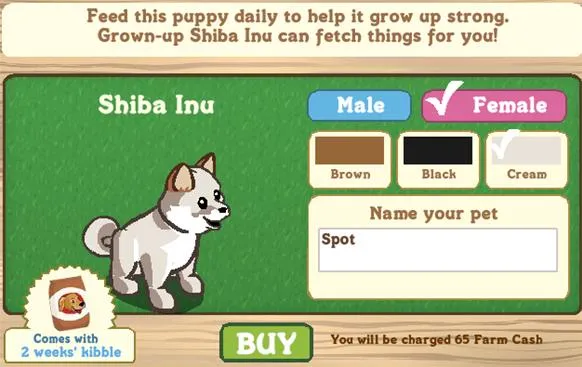 Shiba Inu puppy with options for gender and color selection.