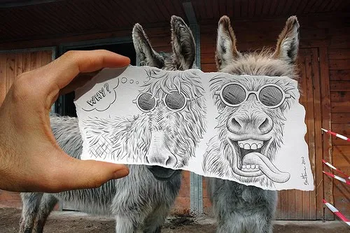 Drawing of two donkeys wearing sunglasses, held up in front of real donkeys.