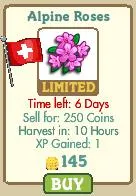 Alpine Roses with a Swiss flag, limited time offer.
