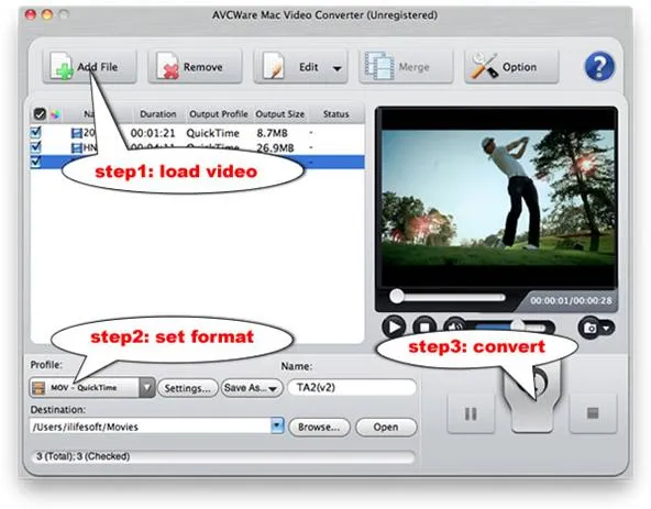 Video conversion software interface showing steps to load video, set format, and convert.