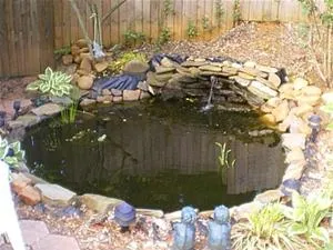 Garden pond surrounded by stones and plants.