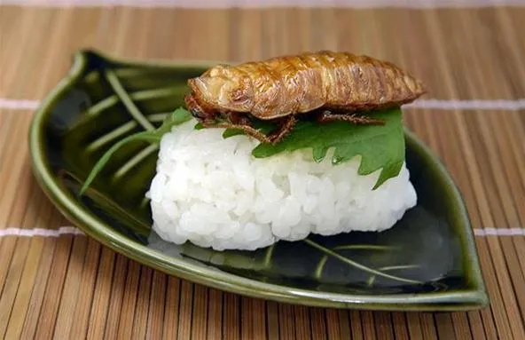Sushi served on a leaf with fish and herbs.