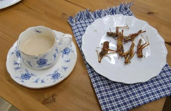 Cup of tea next to a plate of roasted crickets.