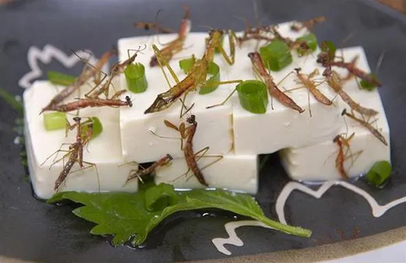Tofu dish topped with green onions and edible insects.