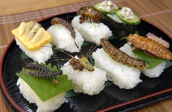 Sushi topped with various insects and edible larvae.