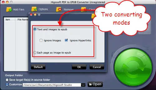 PDF to EPUB converter settings interface with options for converting text and images.
