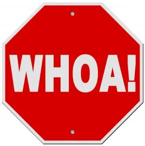 Stop sign with the word "WHOA!" in white letters.