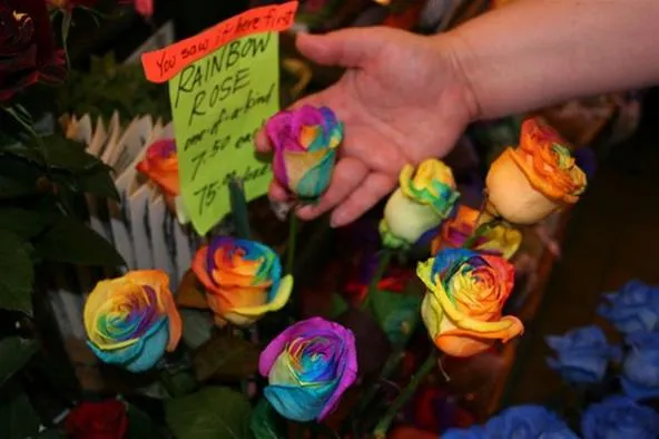 Colorful rainbow roses displayed with a hand and a sign.