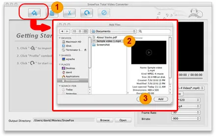 Screenshot of video converter software interface with steps for starting the conversion process.