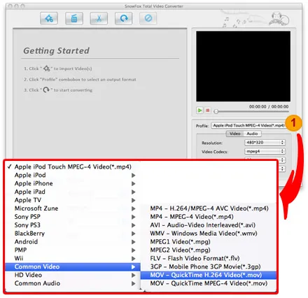 Video format conversion options on a software interface.