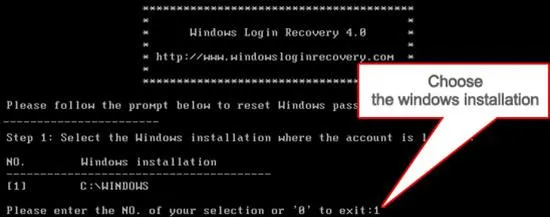 Windows Login Recovery interface with instructions for selecting Windows installation.
