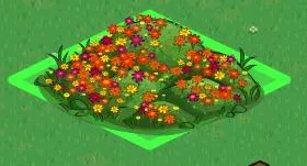 Colorful flower garden with various blooms on green grass.