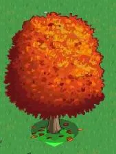 Autumn-themed orange tree illustration.