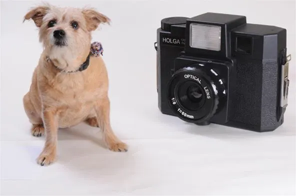 Dog sitting next to a vintage camera.