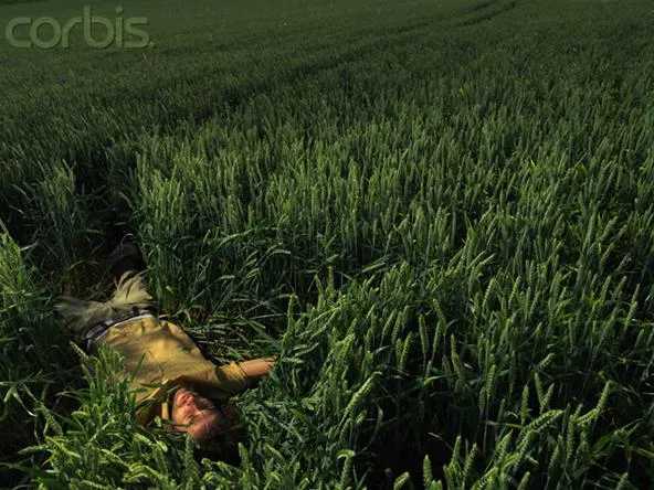 A person lying in a green field of grass.
