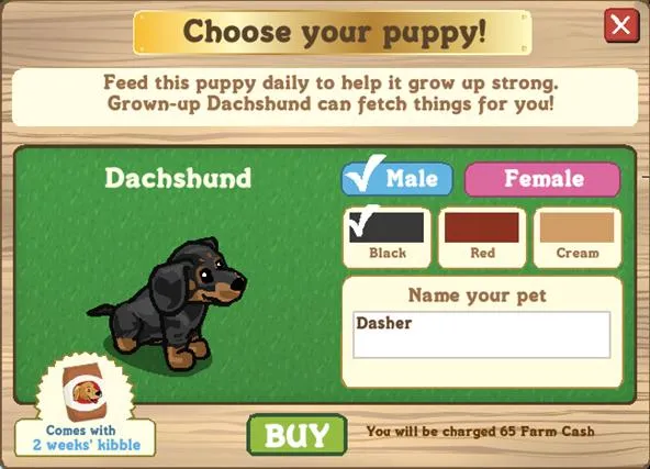 Dachshund puppy selection screen with options for gender and color.
