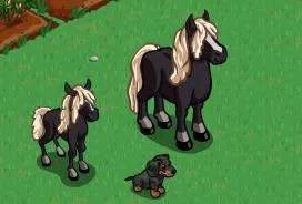 A black horse and a pony with long blonde manes next to a small black dog on green grass.