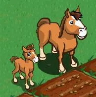 A mare and her foal standing in a grassy field.