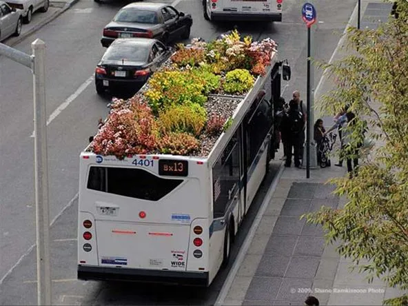 Green roof bus on city street with passengers boarding.