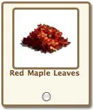 Red maple leaves in a pile